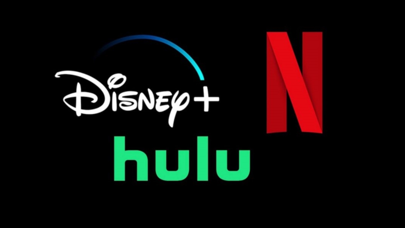 Netflix-Hulu-Disney-Plus-Which-One-Do-You-Prefer-for-This-Holiday-Season-778x438