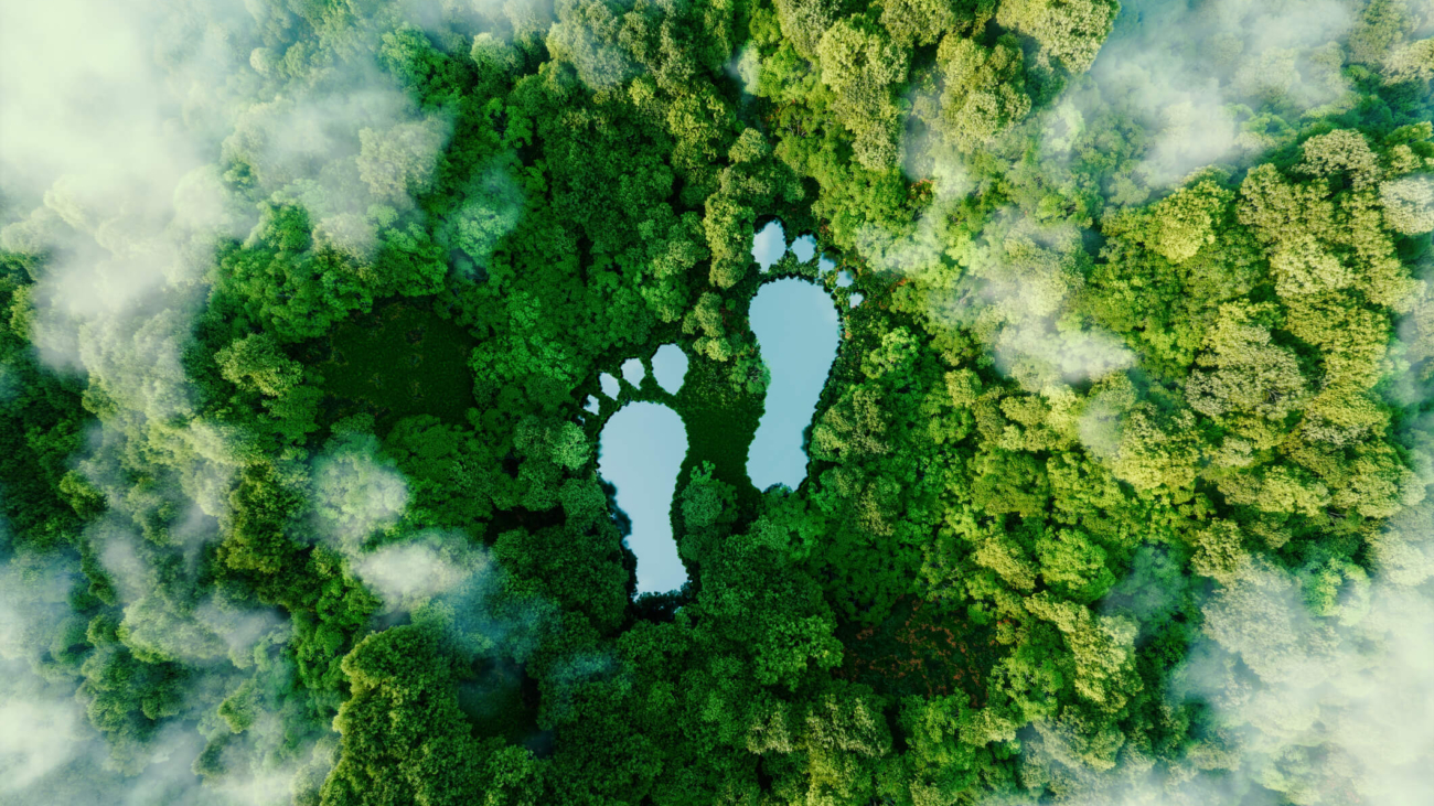 travel-carbon-footprint-1