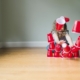 playful-girl-breaking-pyramid-made-of-disposable-cups-while-sitting-on-floor-at-home-961128932-5c40e9c6c9e77c00017a955a